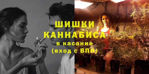 MESCALINE Бородино